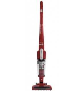 Aspirator vertical Rowenta RH6543